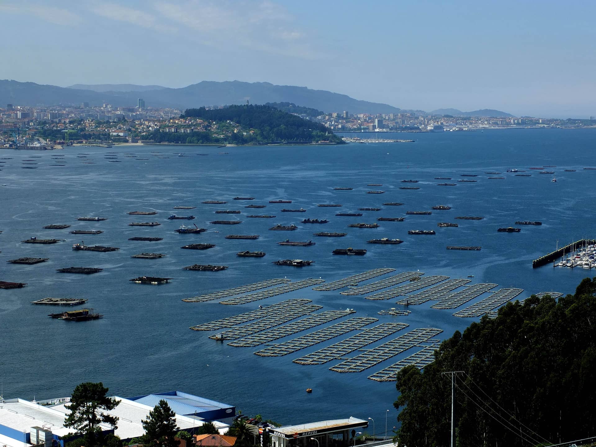 El regreso de las traiñeiras a la ría de Vigo