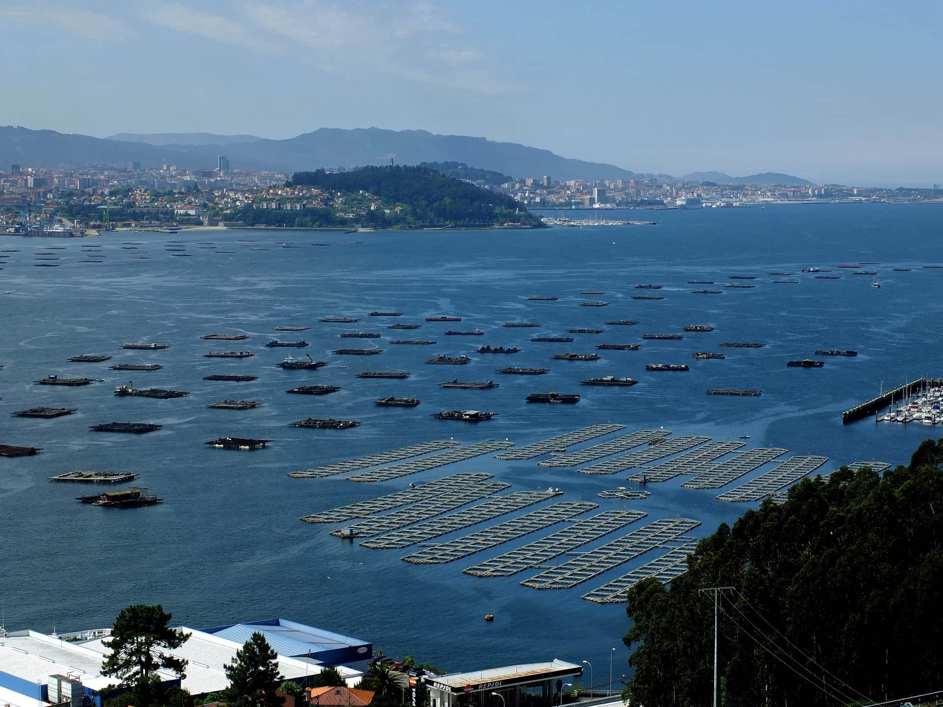 La Luna gigante vuelve a iluminar la Ría de Vigo