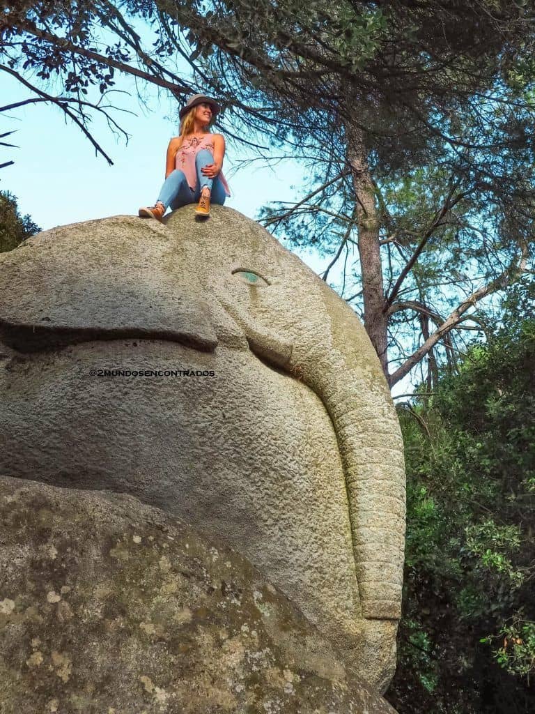 El bosque encantado de Navarcles en familia