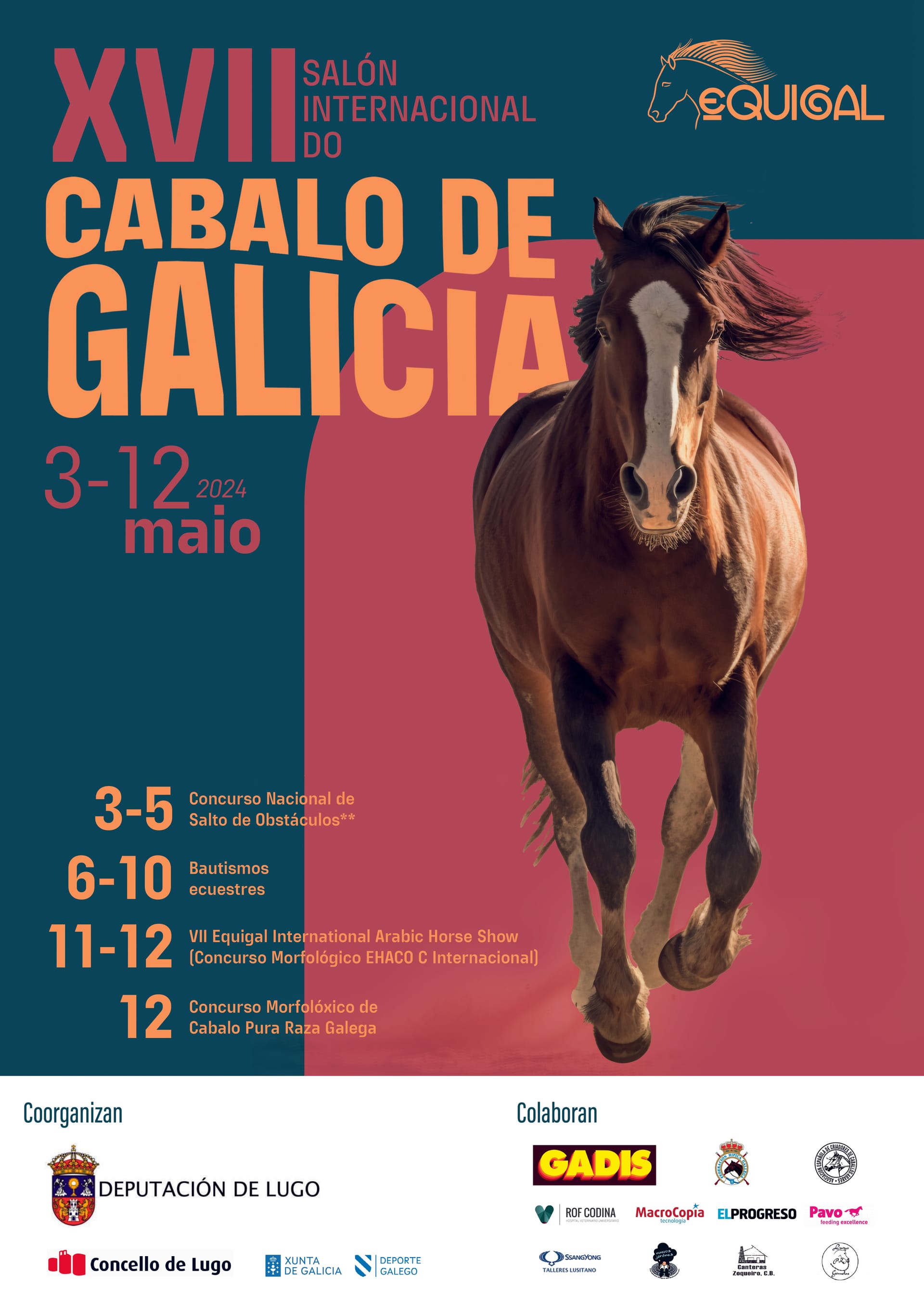 Guía para disfrutar de Equigal 2026 en Lugo