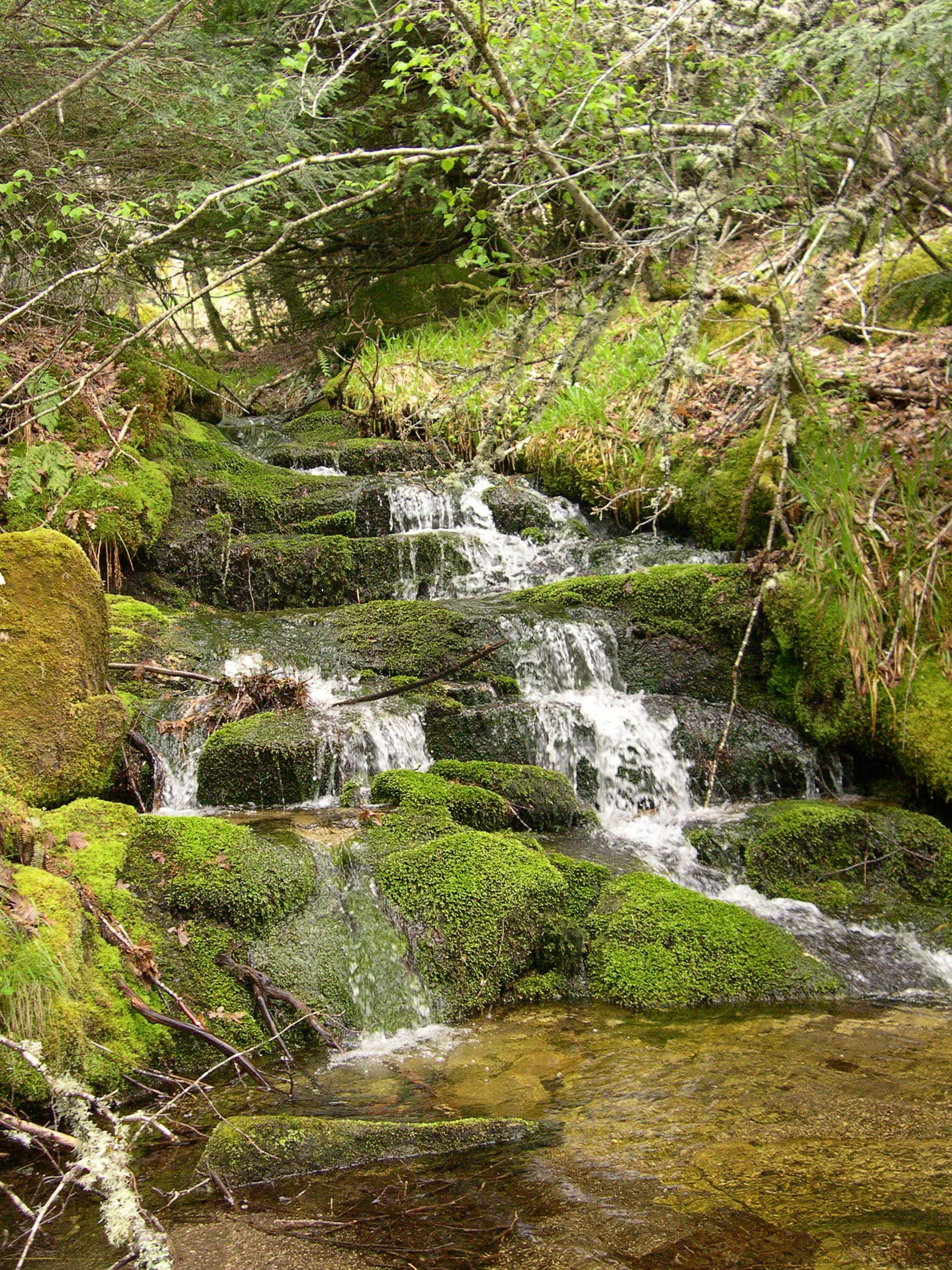 El Tejedelo de Sanabria: un bosque mágico en familia