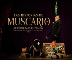 Arte en la Calle. Begoña. Circo Bajo el Tejado. Las historias de Muscario