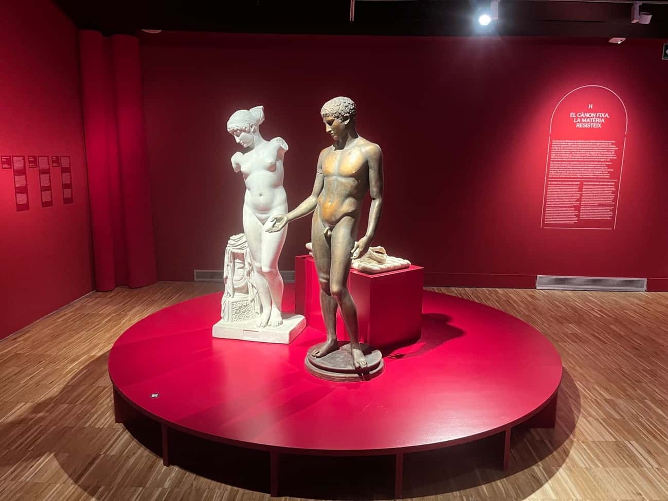 Visita guiada a l'exposició El culte a la bellesa