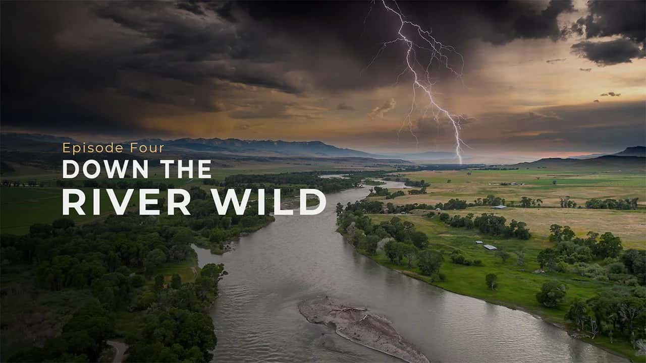 DAC Nights: Down The River Wild