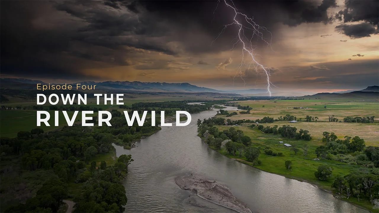 DAC Nights: Down The River Wild