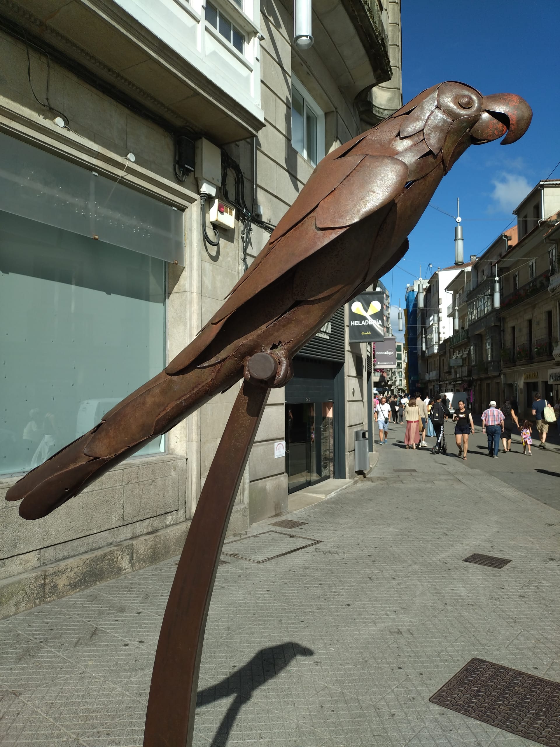 Ravachol: el loro que puso a Pontevedra del revés