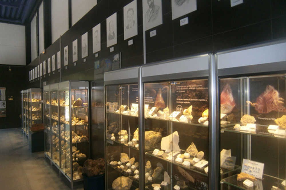 Isurus: el museo paleontológico del río Riquer