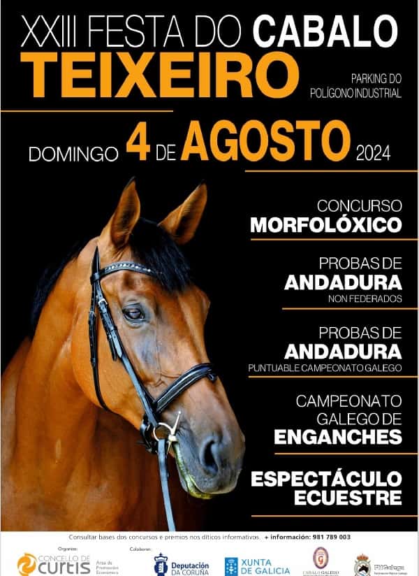 La Festa do Cabalo de Teixeiro cumple 25 años