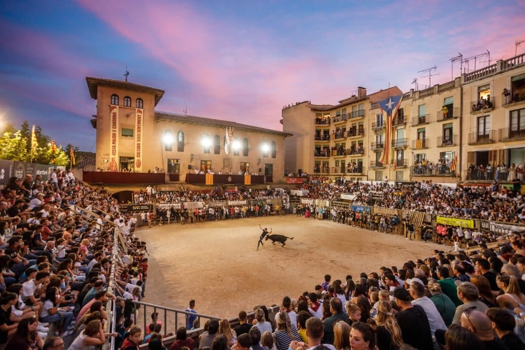 Festa Major de Cardona: raíces y programa 2026