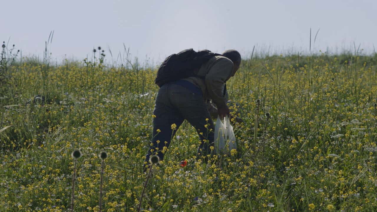 Jumana Manna, 'Foragers'