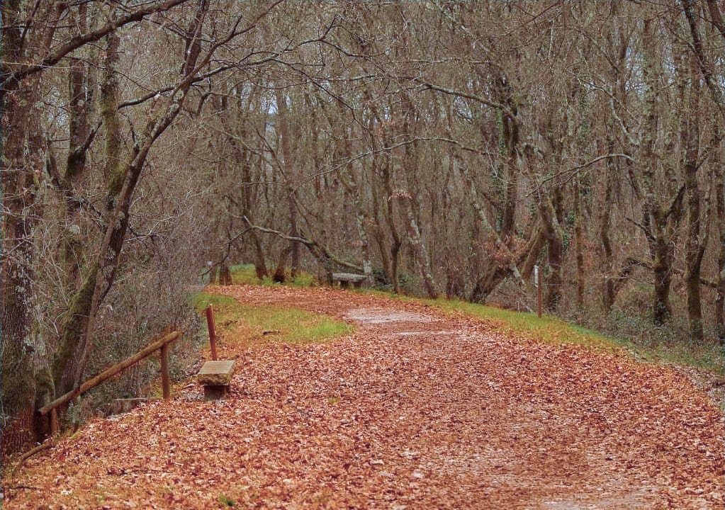 Ruta por As Gándaras de Budiño: naturaleza al lado de Vigo
