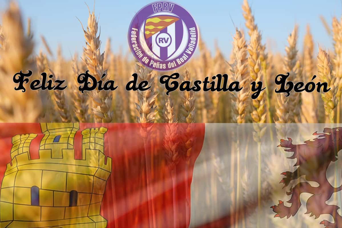 Los menús a domicilio más sorprendentes en Valladolid
