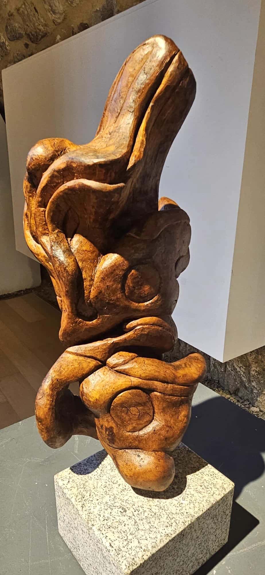 Exposición 'Anatomía de un bosque'