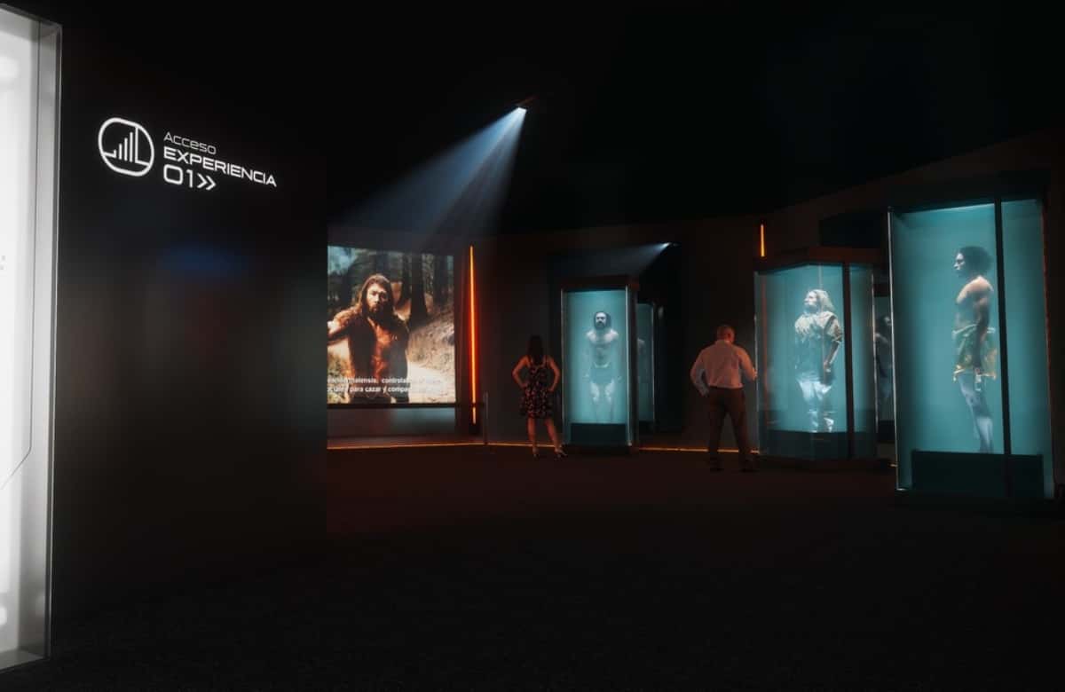 Human Universe - The Experience