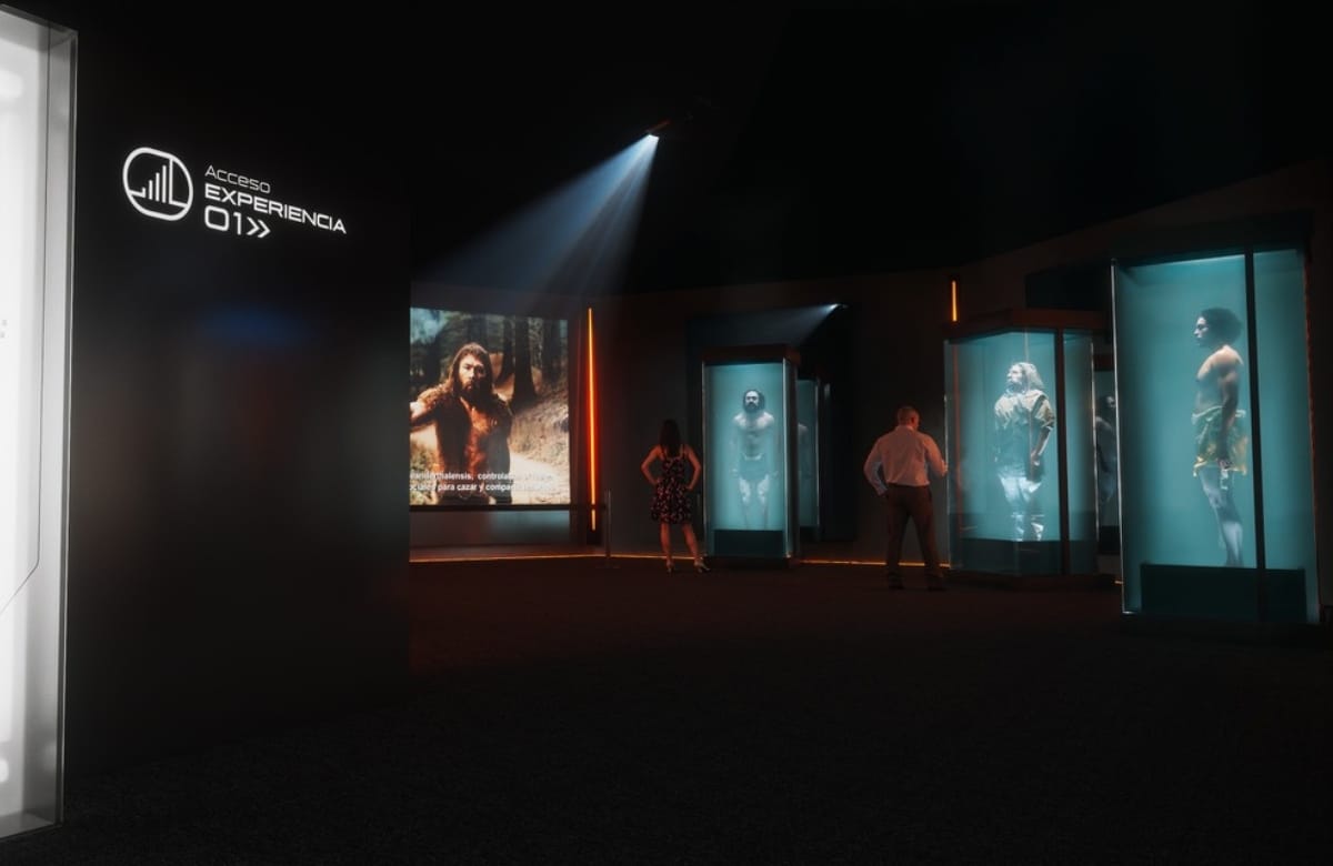 Human Universe - The Experience