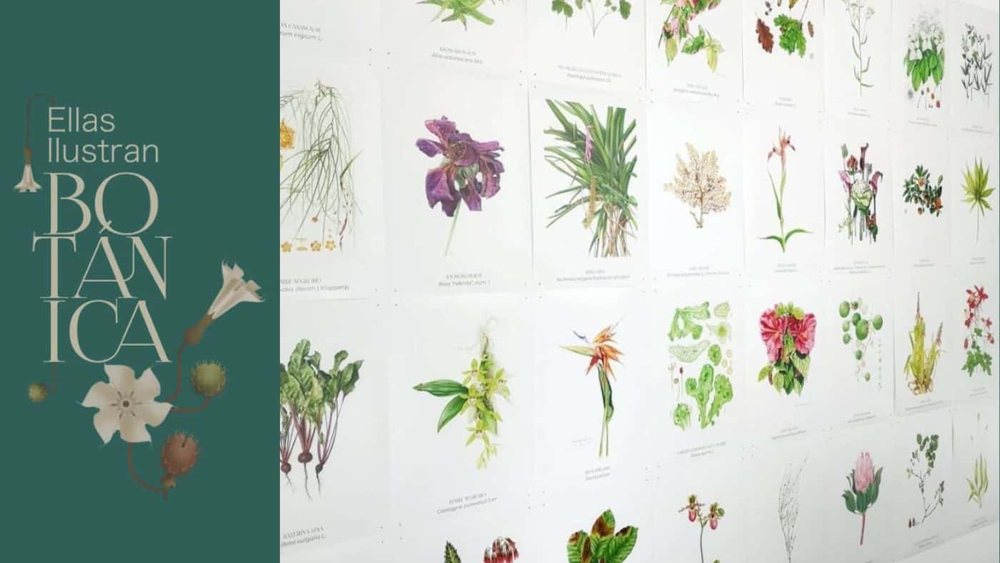 Taller didáctico para familias: Ellas ilustran botánica