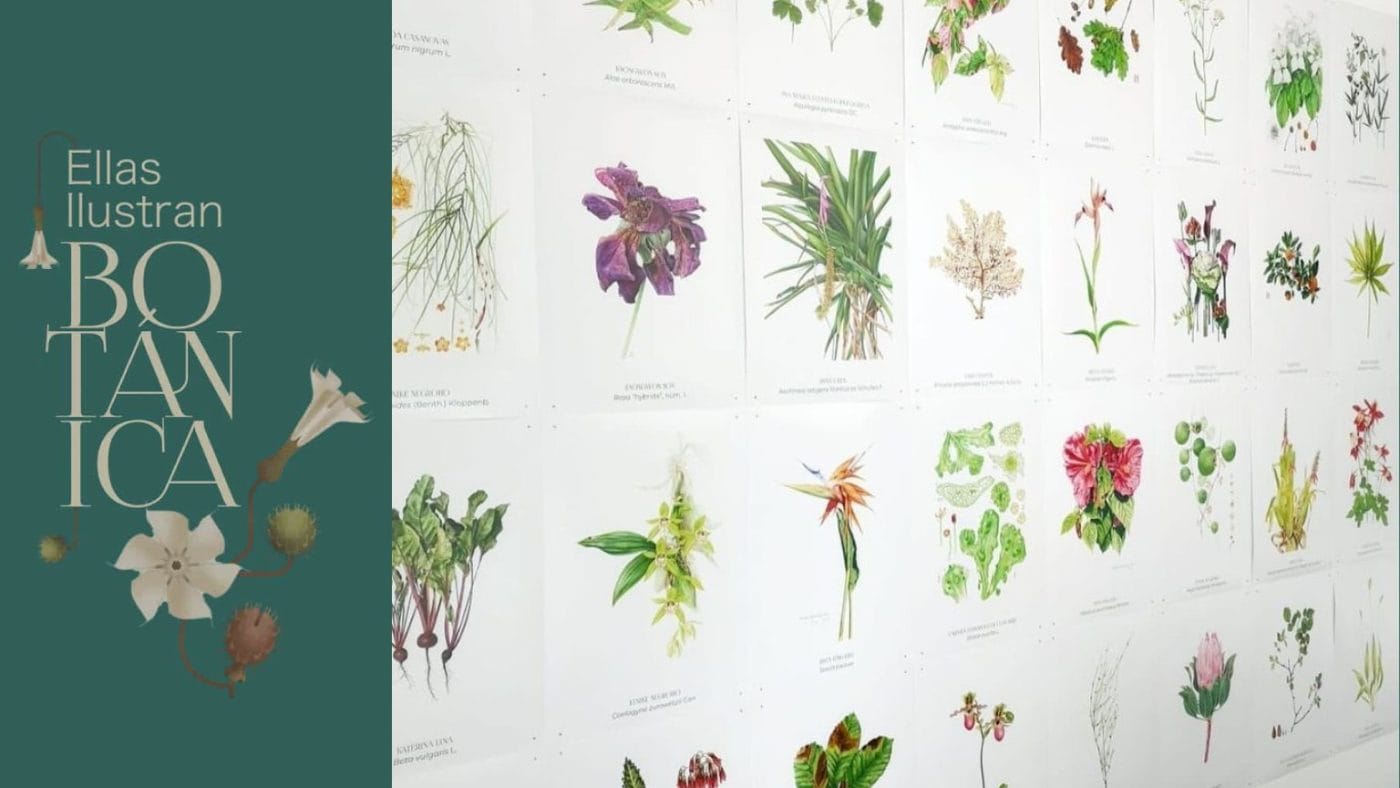 Taller didáctico para familias: Ellas ilustran botánica