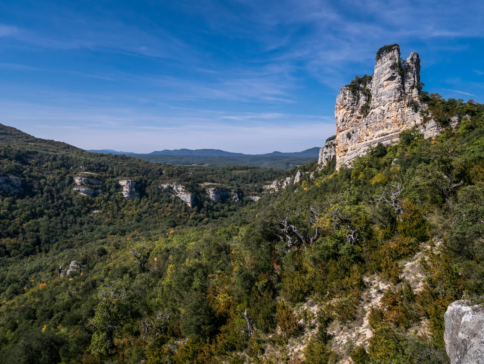 Izki Trail 2026: dos distancias por la sierra alavesa
