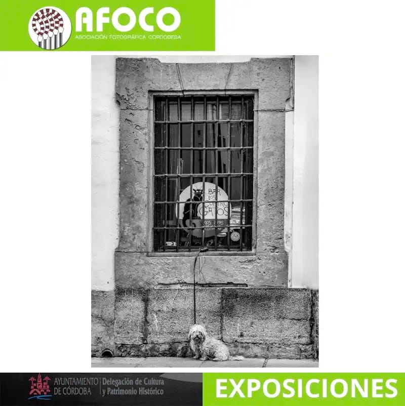 Ciudad sin ruido