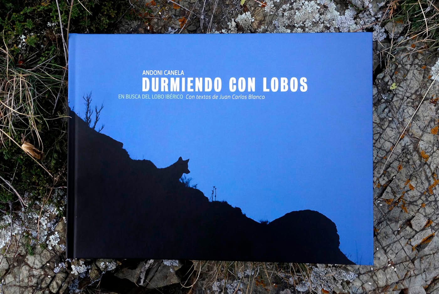 Durmiendo con lobos