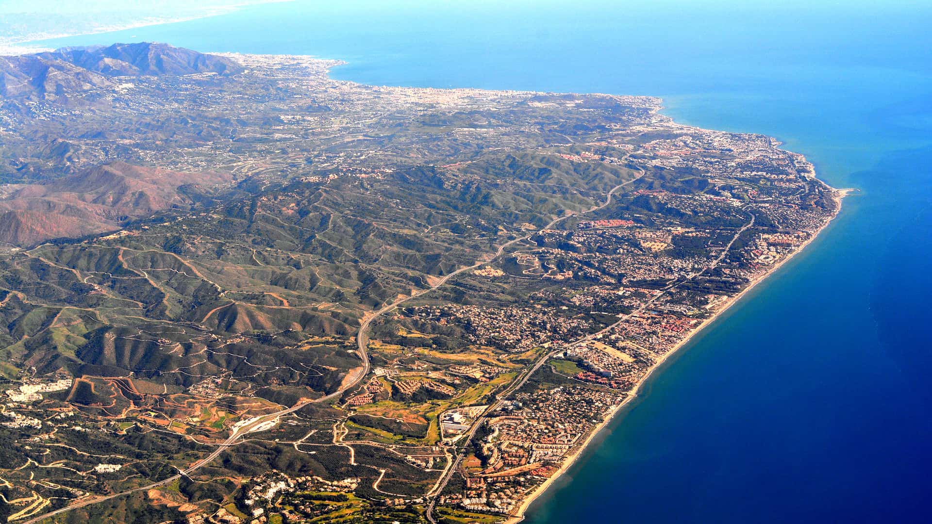 Playas caninas en la Costa del Sol para este verano
