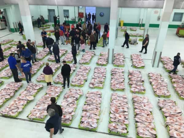 Rutas del mar al plato: lonja y mercados en A Coruña