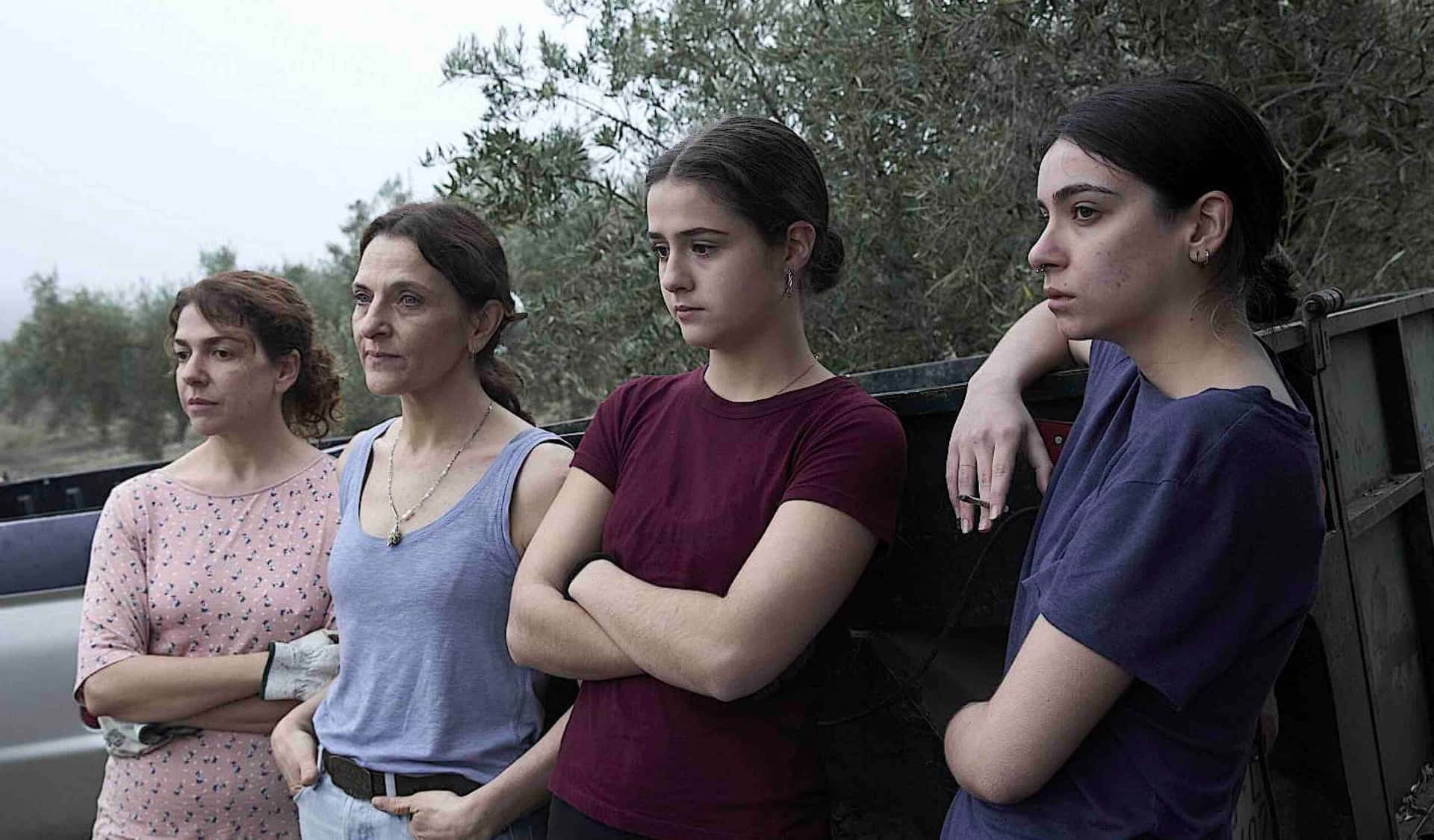 Ciclo RADAR: Los tortuga