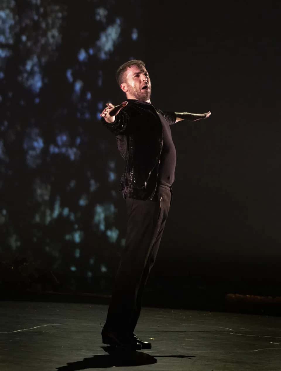 Festival de Flamenco y Danza de Almería: Vengo Jondo y Vertebrado