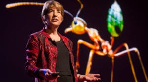 Outsider Animals with Marlene Zuk