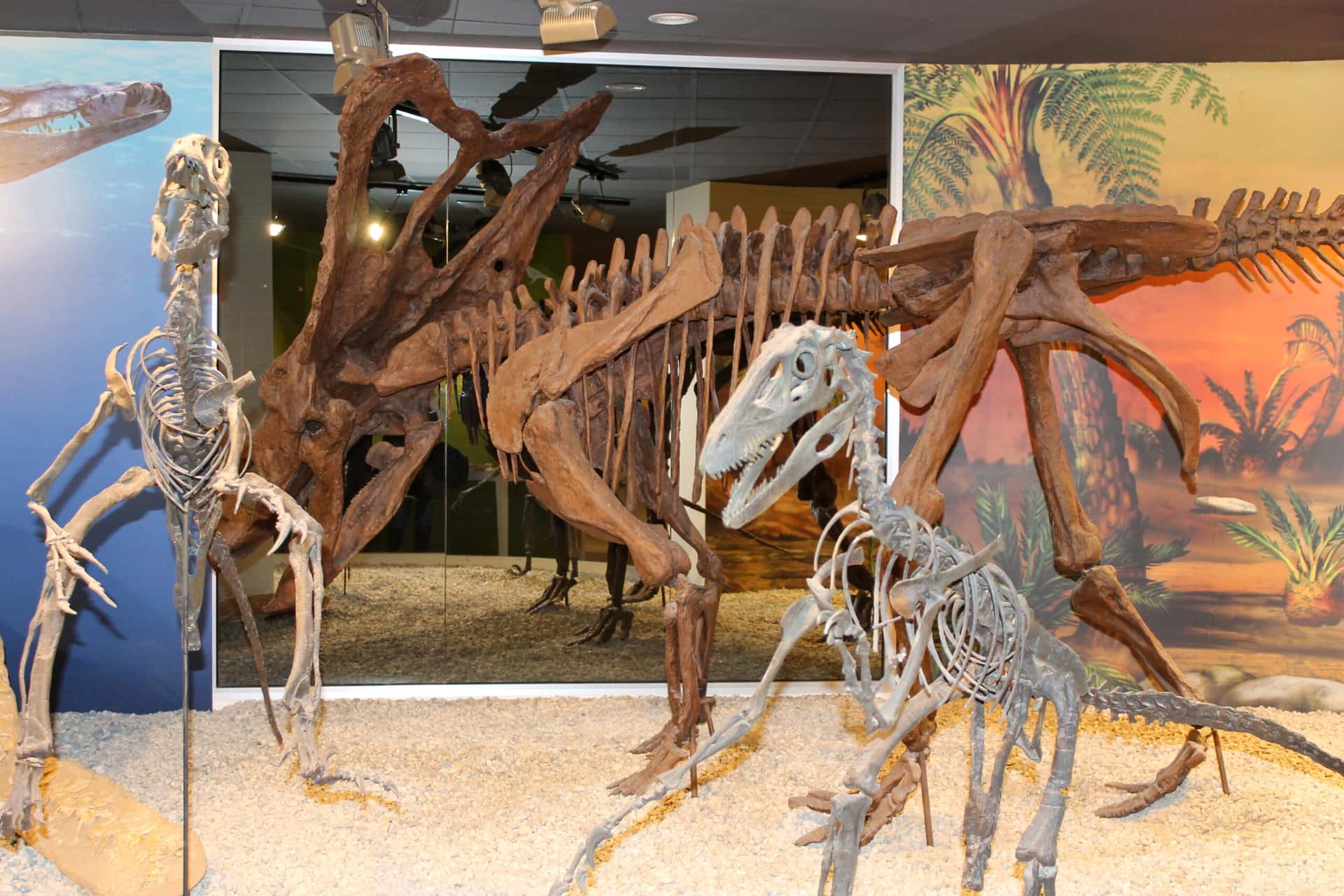 El MUPE se sumó al Geolodía con paleontología familiar