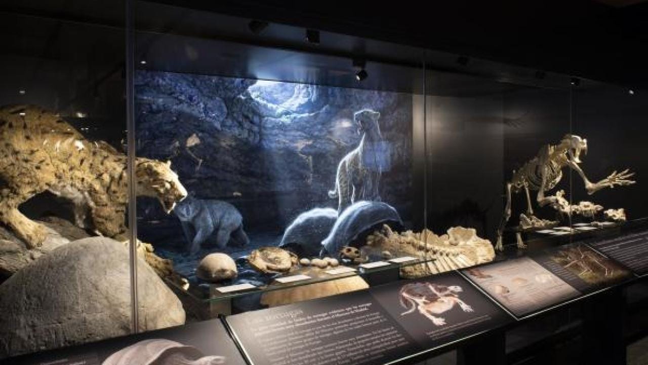 El MARPA abre hasta medianoche en La Noche del Patrimonio