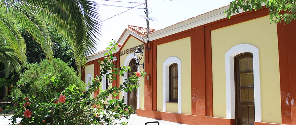 El Museo de Historia Natural reabre en Torrevieja