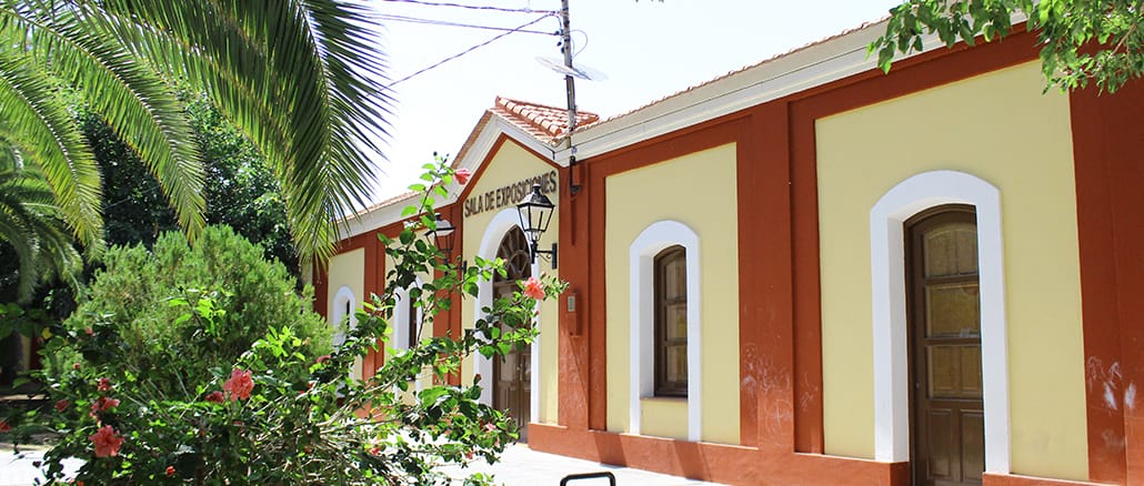 El Museo de Historia Natural reabre en Torrevieja