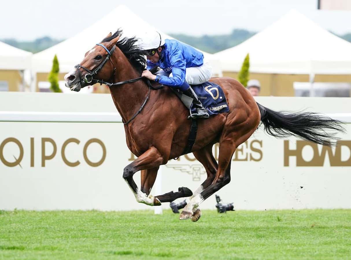 Juddmonte International