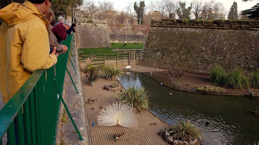 Un Paseo Real por la Taconera: Las Estatuas Vuelven