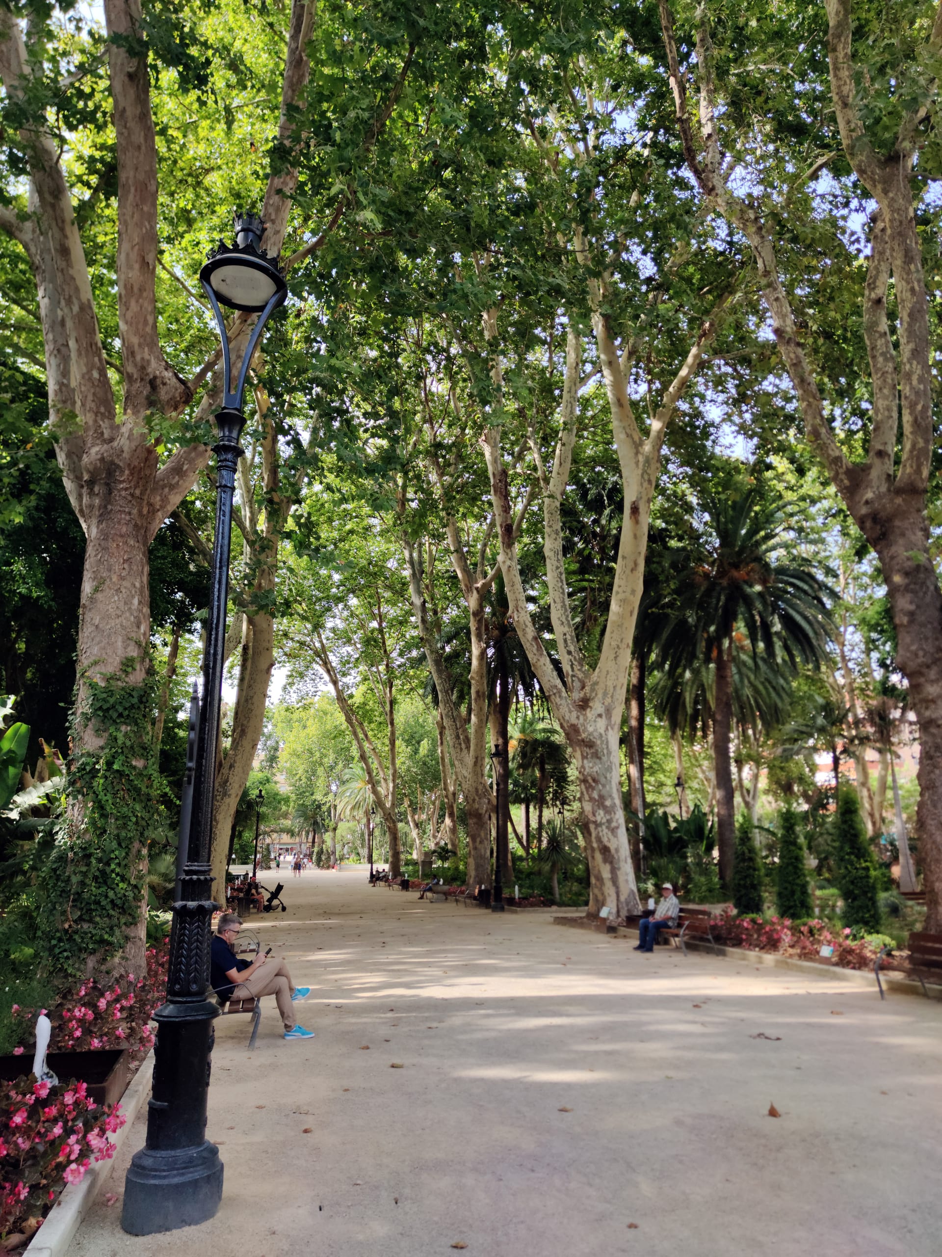 Noche de verano en familia en el Parque María Cristina