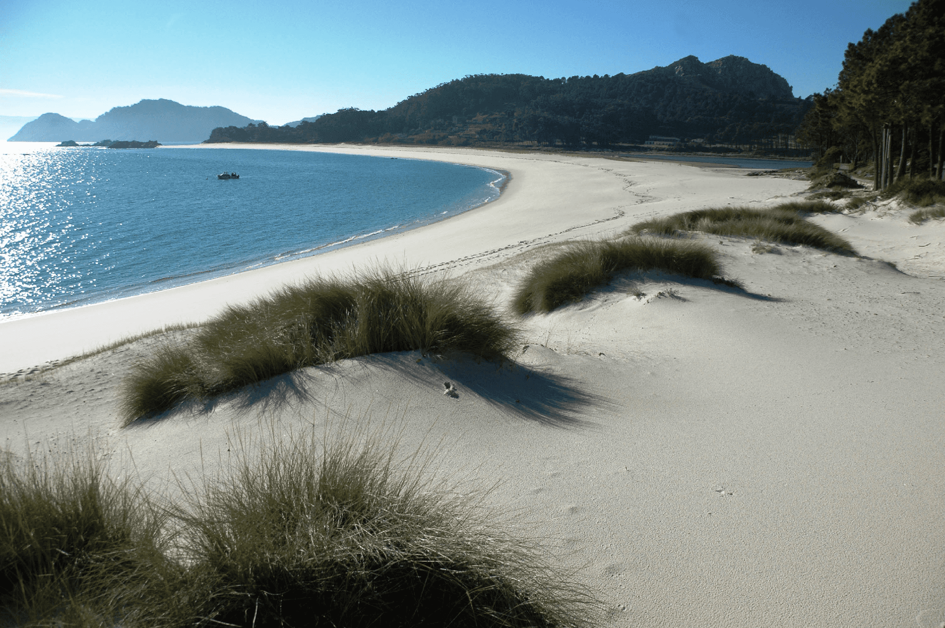 X Xornadas de Conservación e Estudo do Parque Nacional das Illas Atlánticas de Galicia
