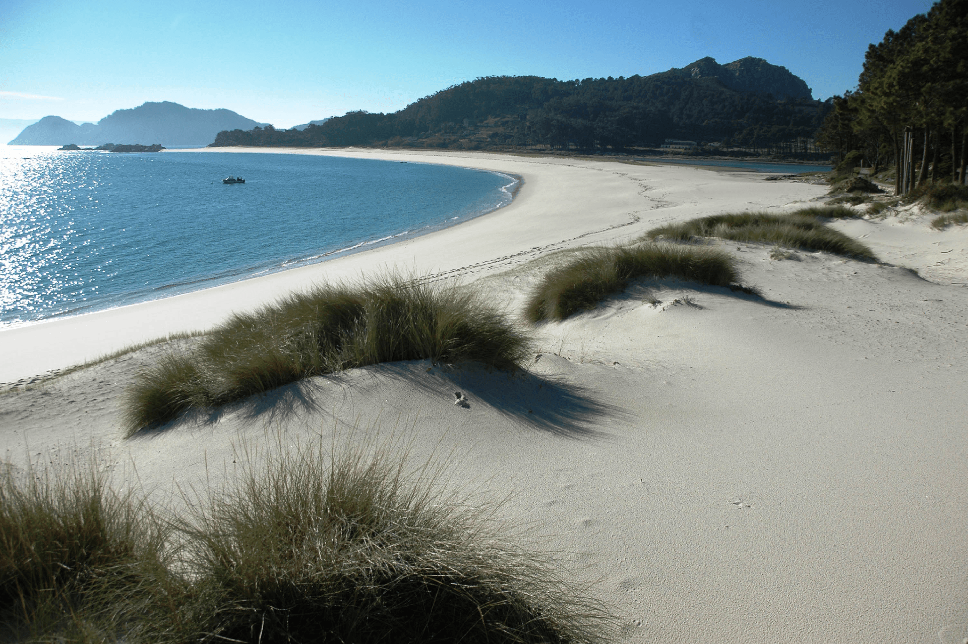 X Xornadas de Conservación e Estudo do Parque Nacional das Illas Atlánticas de Galicia