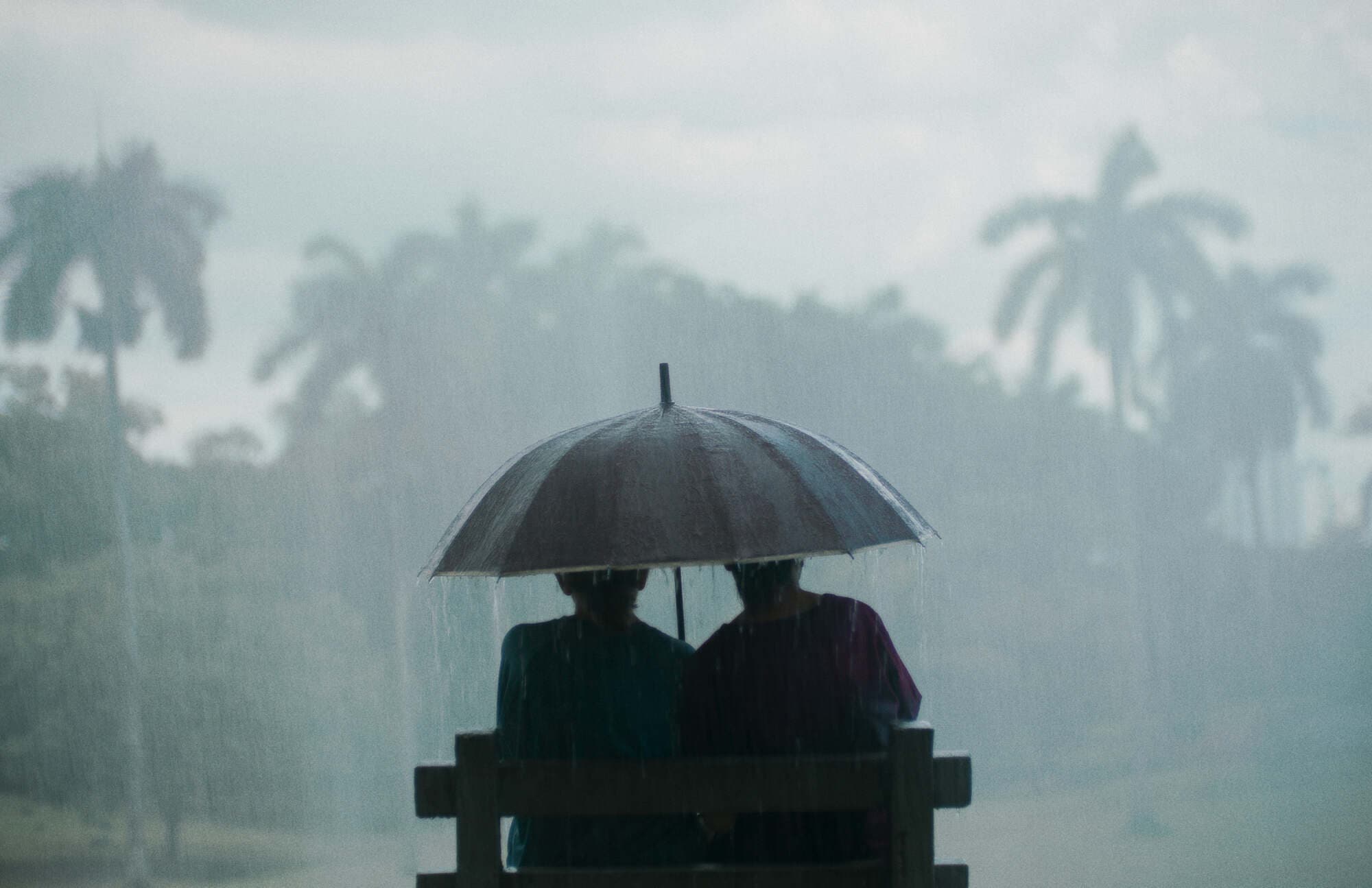 Querido trópico - Ciclo 'Cine do mundo'
