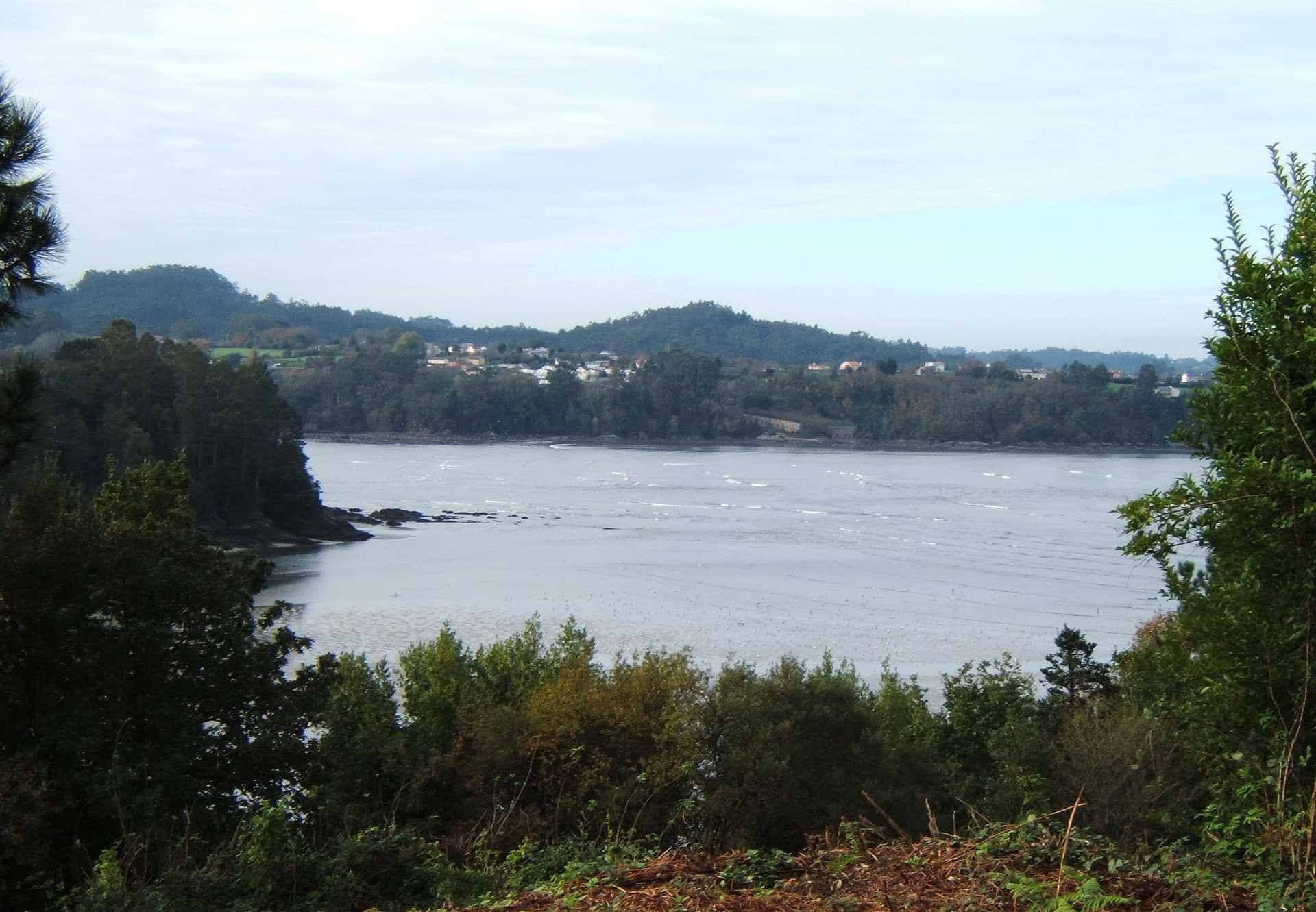 Guía de natación en aguas abiertas en la Ría de Betanzos