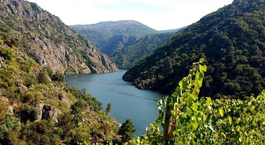 La Ribeira Sacra aguarda el veredicto de la UNESCO