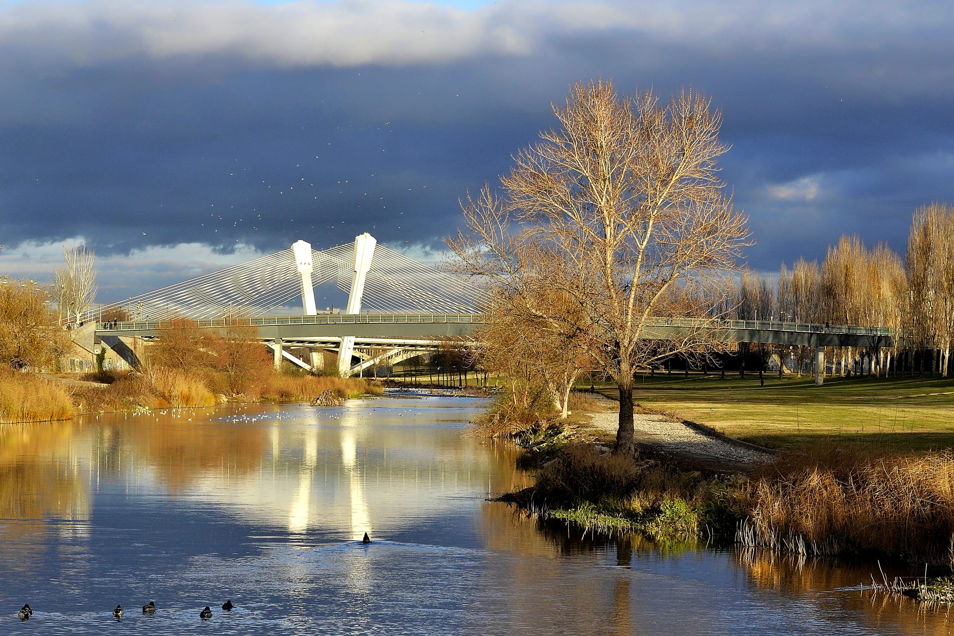 La fuente de Pardinyes vuelve a funcionar junto al Segre