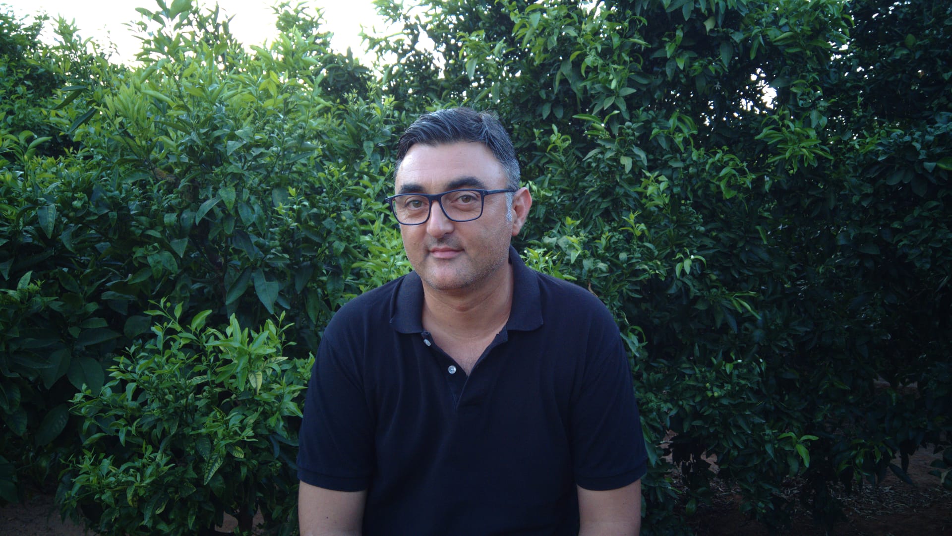 Fira del Llibre d'Alzira