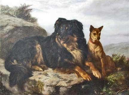Themed Tour: Beasts & Best Friends – The Victorian Love of Animals