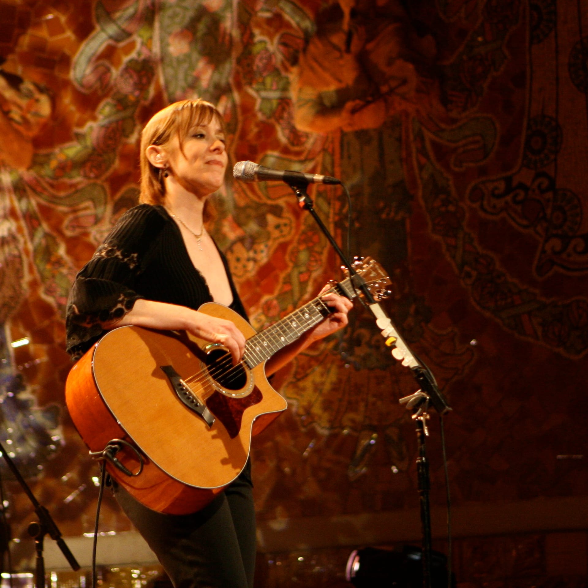 Suzanne Vega - Flying With Angels Tour