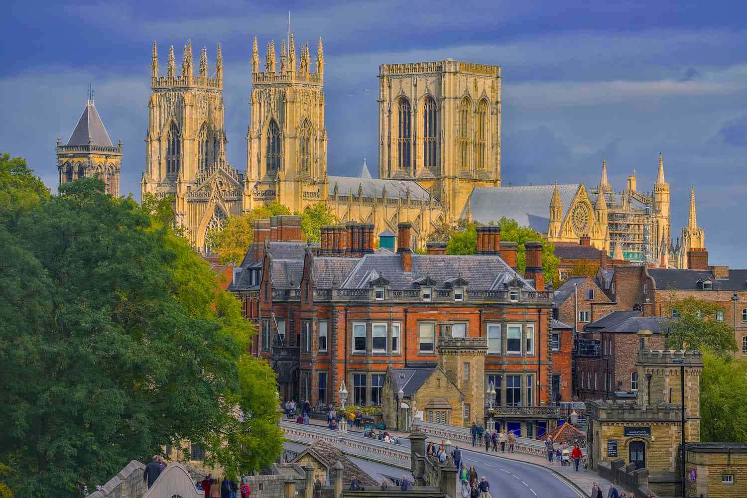 York: Britain's best dog-friendly day out