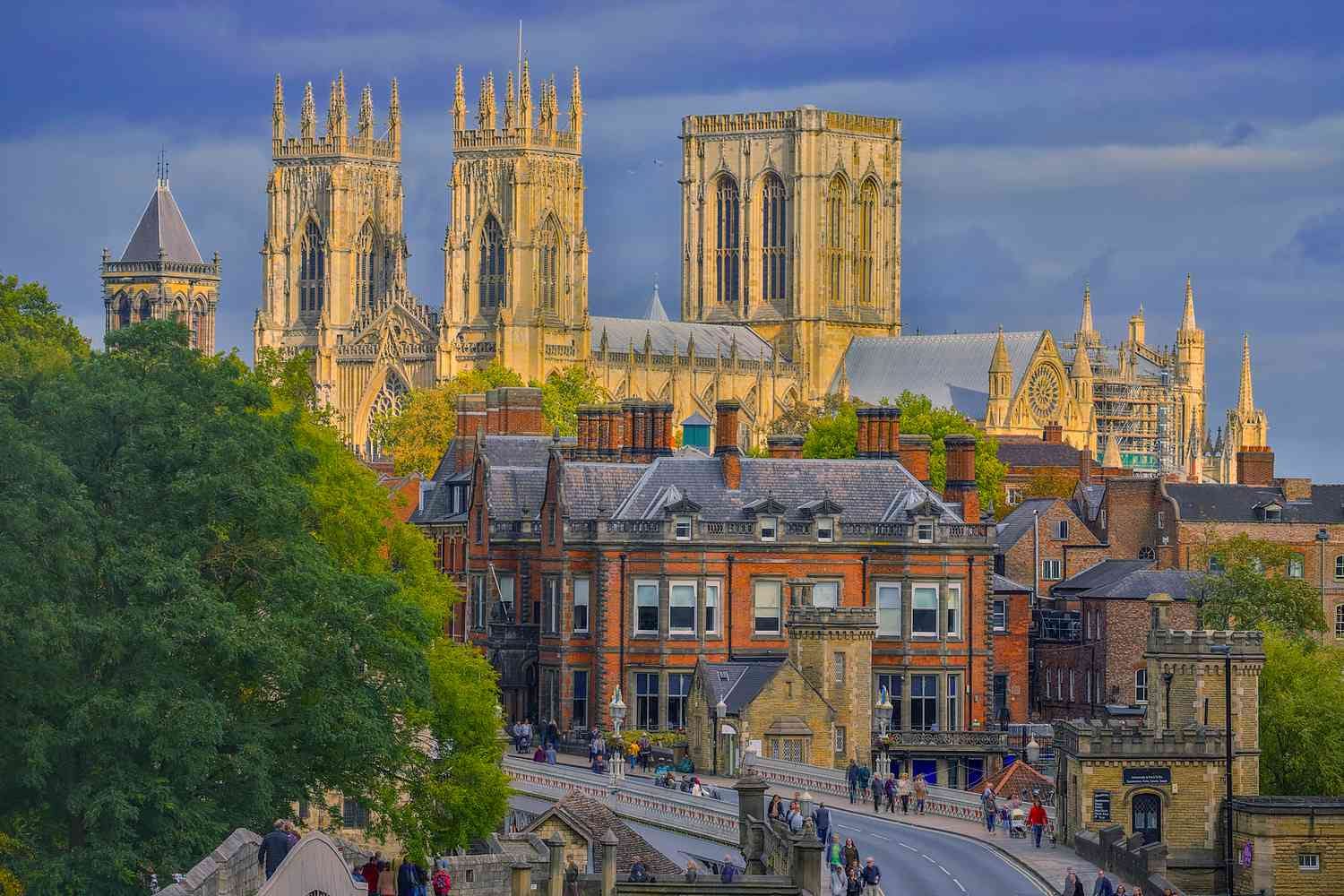 York: Britain's best dog-friendly day out
