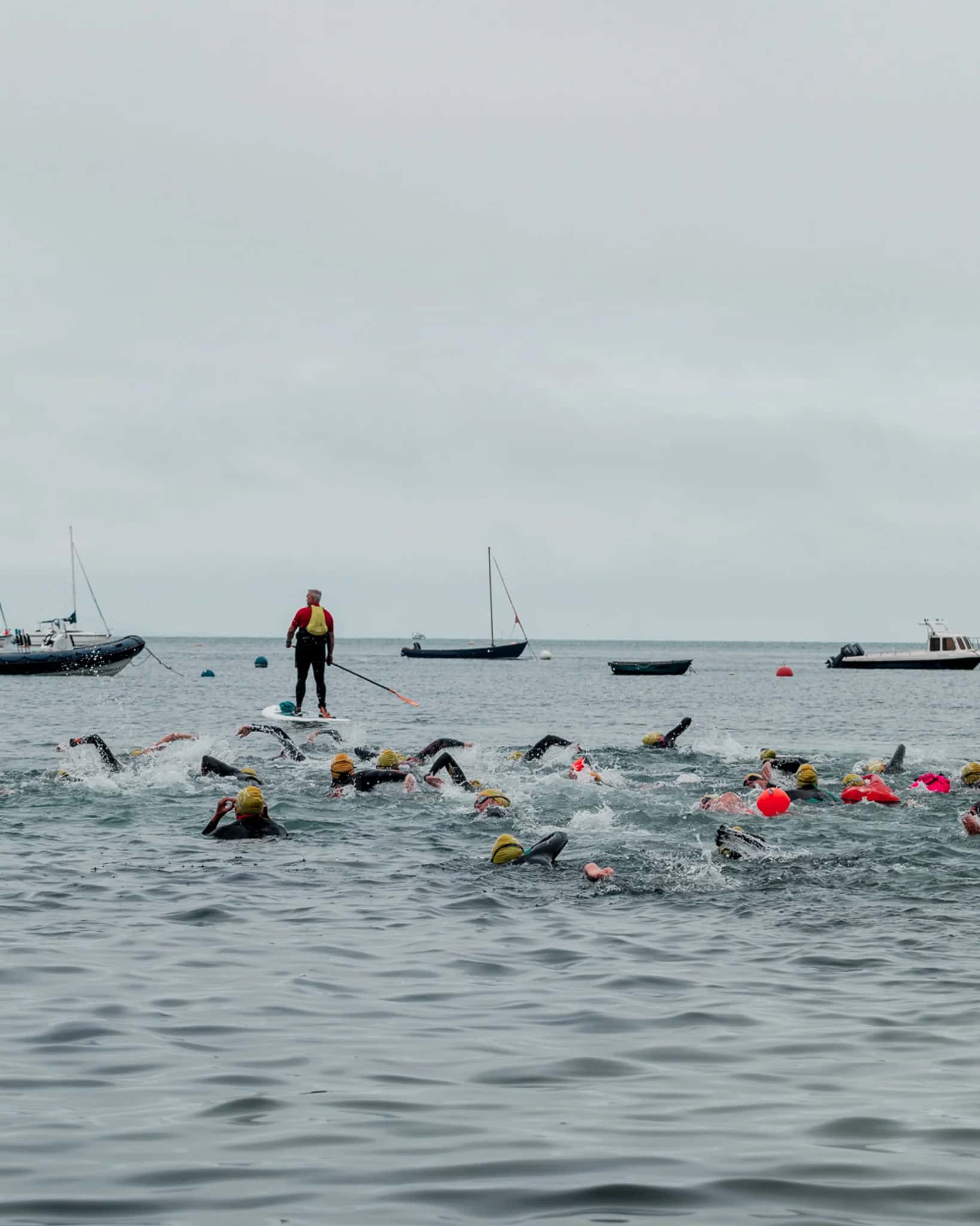 The South Coast Swim