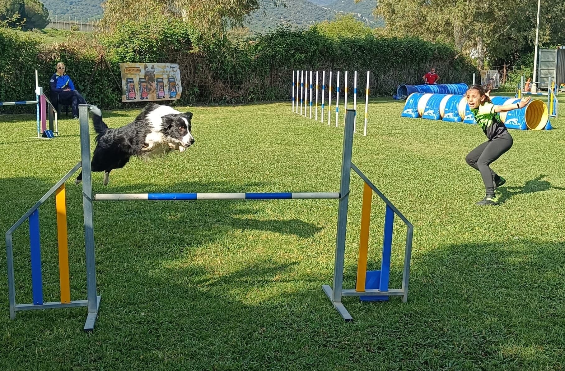 Agility canino en el barrio Pelayo: plan familiar gratuito