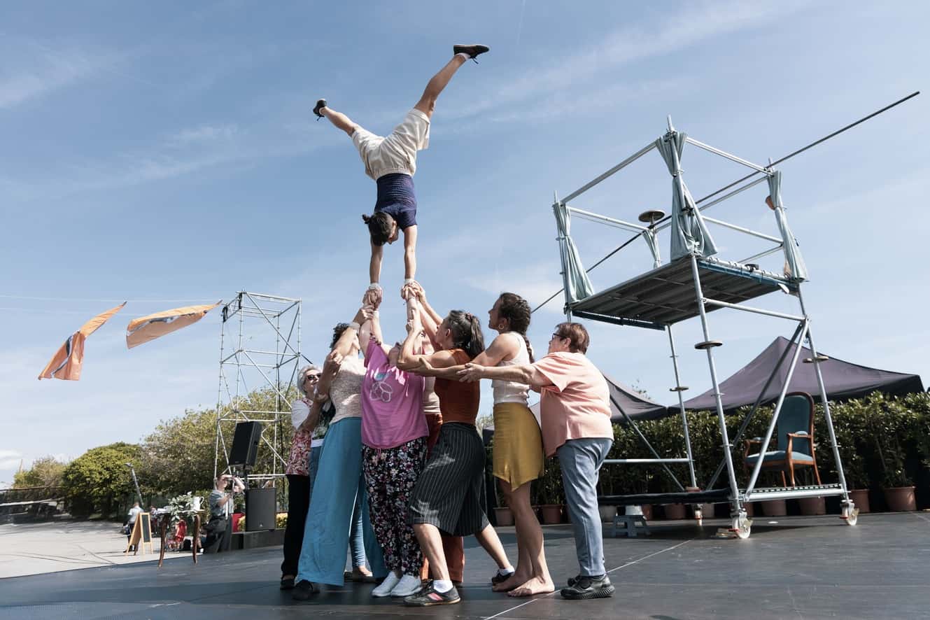 Festival de las Murallas - Cinco Puntas - Espectáculo - Entre bous i vaques